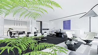 辦公室裝修設(shè)計(jì)|青春風(fēng)格辦公室裝修效果