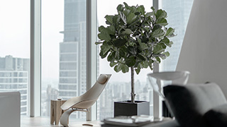  辦公室裝修設計|大型辦公室裝修設計